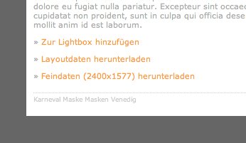 Screenshot mit Download-Links
